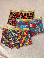 Schlesinger 銘品#530 本革フラップトップブリーフ　レトロ美品 2026年最新】レトロブリーフの人気アイテム - メルカリ