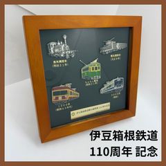 第6回 メルカリ 非売品 第6回伊豆急全線ウォーク 完走記念ピンバッジ