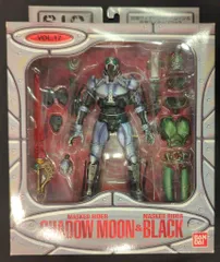 バンダイ S.I.C. 仮面ライダーBLACK シャドームーン&仮面ライダーブラック グリーンバージョン 17
