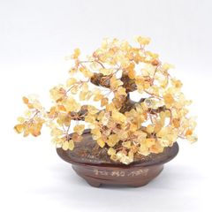 天然石 招財樹 金運樹 アメジスト 置物 インテリア 工芸品 美術品