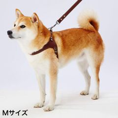 Item thumbnail for item 02a0d898-98ab-4c7a-9519-6c3b928ef3b4