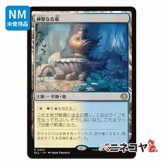 2026年最新】神聖なる泉の人気アイテム - メルカリ