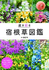 Item thumbnail for item 270a6ea0-1edf-4de0-bd3d-02c7ce7fd777