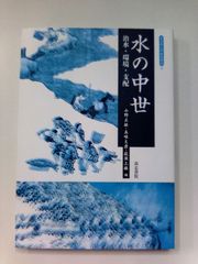 文化財調査報告書桜井茶白山古墳の研究考古学前方後円墳銅鏡三角縁神獣