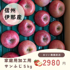 最終受付締切2月15日★信州伊那谷産　訳ありんご　サンフジ　家庭用加工用5キロ