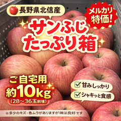 シーズン最終残り僅か🙇SHOPイチオシ！家庭用並品サンフジ約10kg 　長野県産りんご 林檎　Apple ふじりんご　フジ　全国送料無料🚚