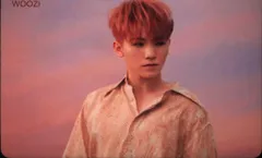 SEVENTEEN 舞い落ちる花びら WOOZI トレーディングカード Pink