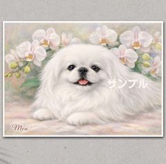 ペキニーズのイラストポスター A4. 名入れ無料  胡蝶蘭とペキニーズ