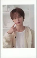 【中古】コレクションカード(男性) Stray Kids/Lee Know(リノ)/「Stray Kids 2024 Season’s Greetings Perfect Day with SKZ」JYP SHOP予約特典ポラロイドフォトカード