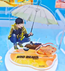 中国限定 WIND BREAKER ウィンド ブレーカー 桜遥 アクスタ アクリルスタンド