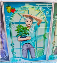 中国限定 WIND BREAKER ウィンド ブレーカー 梅宮一 アクリル色紙