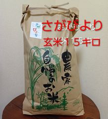 令和7年度産キヌヒカリ (きぬひかり)玄米 15kg - メルカリ