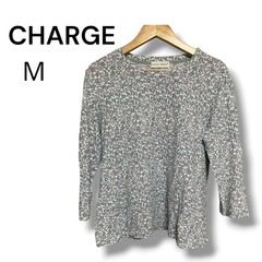 Item thumbnail for item b1d63282-5021-4ed2-9331-aa38e623d3ff