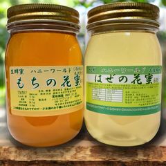 国産みかん蜂蜜1200g×2本セット - メルカリ