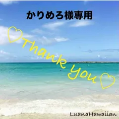 【かりめろ様専用】