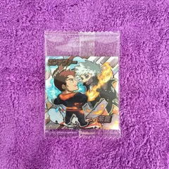 24.エンデヴァー、荼毘  1枚　僕のヒーローアカデミア  ウルトラシール　ウエハース  vol.05　ヒロアカ　にふぉるめーしょん  最新弾