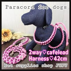 Item thumbnail for item 74a54d34-5e8b-46c0-9bc7-ed0a67cdd95f