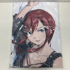 FAIRY TAIL フェアリーテイル】エルザ 抱き枕カバー（新品未開封