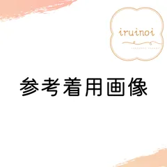 参考着用画像