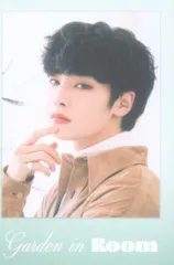 StrayKids 2022 Season’s greeting I.N トレーディングカード 緑