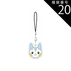 種類20：ポケモン ストラップ ゼニガメ カビゴン ミュウ ピチュー ポッチャマ ミミッキュ ニンフィア モクロー フシギダネ ヒトカゲ ルカリオ ナエトル ヒコザル スマホ アクリル アクセサリー チャーム  【普通郵便にて7営業日以内発送】