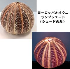 Item thumbnail for item 93ea08dd-7dfb-42b6-bc61-f252f516f187