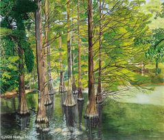 水彩画 ジクレー版画「雪のもみじ谷」（高良山／久留米市） - メルカリ