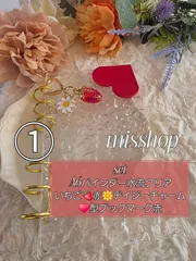 ◆韓国人気SNS◆A6アクリルバインダーset貯金saving家計管理クリア新品バインダー貯金A6アクリルバインダー水流　saving　家計管理　貯金リフィル　貯金バインダー　 推し活　いちごデイジーチャームset　カラフル　可愛い　全10種類　お気に入り