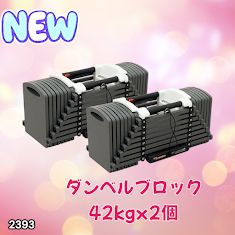 #2393 ダンベルブロック42kgx2 2393 可変式 ブロック ダンベル 42kg 2個セット 簡単 重量 調整 可能