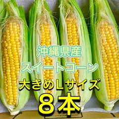 2026年最新】とうもろこしの人気アイテム - メルカリ