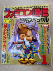 月刊ファミコン通信 攻略スペシャル1994年1月号