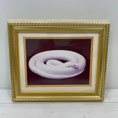 2026年最新】水晶院ラッキーショップの人気アイテム - メルカリ