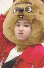 StrayKids NOEASY HAN トレーディングカード SKZOO