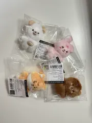 DAY6（デイシックス） 쁘쁘멀 방케필돈 未開封