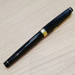 2026年最新】万年筆 パイロット エリートの人気アイテム - メルカリ