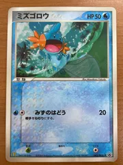 2026年最新】ミズゴロウ psa10の人気アイテム - メルカリ