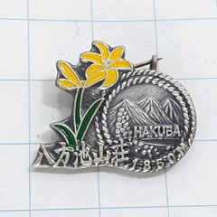 登山バッジ 2025年、第71回八ヶ岳開山祭 - メルカリ