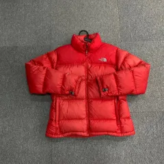 95/L THE NORTH FACE ザノースフェイス レディース Nuptse(ヌプシ) 700 ダウン アウター N0017