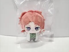 鬼滅の刃 錆兎 ぬいぐるみ