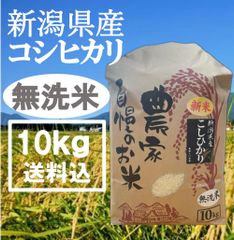 定番☆美味 令和7年兵庫県産 キヌムスメ 湧き水育ち 農家直送 10kg