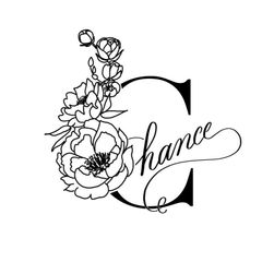 美品 MARGARET HOWELL シーアイランドコットン シルク 上品ニット メルカリ