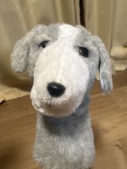 Item thumbnail for item 01467c90-767a-495f-9bde-d43a1c3f5931