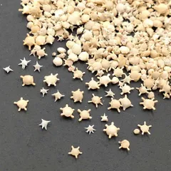 星の砂 星砂 沖縄県石垣島産 10g レジン用 天然 無漂白 封入用 封入素材 貝殻 白浜 材料 ほしずな ほしすな ビーズクラブ