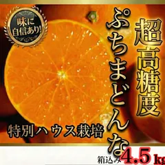 超濃厚❗️高糖度ぷちまどんな　紅❗️マドンナ　みかん　あいか 28号　箱込み4.5キロ　約30〜50個　M〜2sサイズ　家庭用　特別ハウス栽培