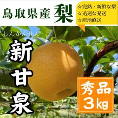色を入れる直前の摘果桃 加工用 白鳳 - メルカリ