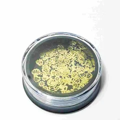 ビーズクラブ 海のなかま パーツセット ケース入り 1個 5mm レジン ネイル デコ用素材 封入素材 ハンドメイド クラフト メタルパーツ