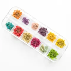 ドライフラワー レースフラワー 押し花 レジン ネイル ケース入り ビーズクラブ