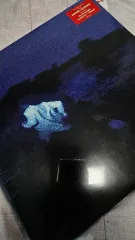 2026年最新】DANIEL caesar レコードの人気アイテム - メルカリ