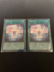 遊戯王　PSA9 ブラックマジシャンガール　３枚セット Amazon.co.jp: 遊戯王 日本語版 MVPL-JP001 Dark Magician Girl