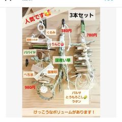 a34 粟の穂ホルダ バードトイ インコ 止まり木 - メルカリ